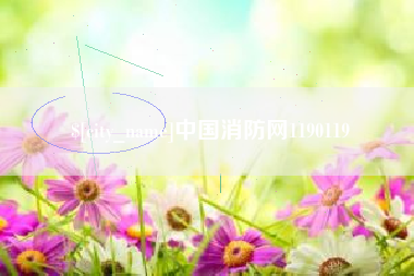 广安中国消防网1190119