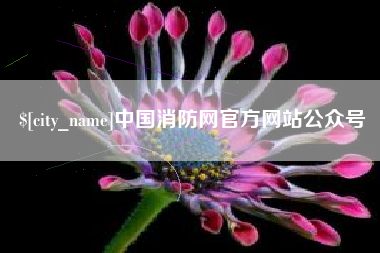 广安中国消防网官方网站公众号