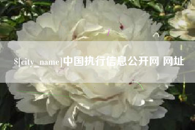 广安中国执行信息公开网 网址