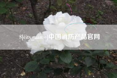 广安中国消防产品官网