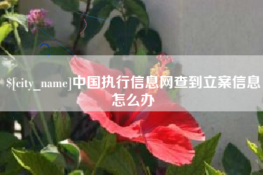 广安中国执行信息网查到立案信息怎么办