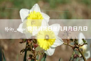 广安我国消防日是几月几日几日