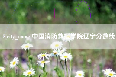 广安中国消防救援学院辽宁分数线