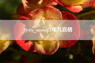 广安21年九宫格
