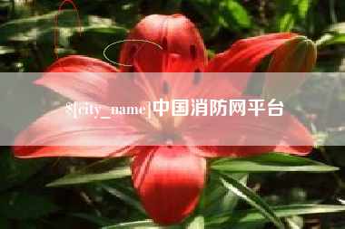 广安中国消防网平台