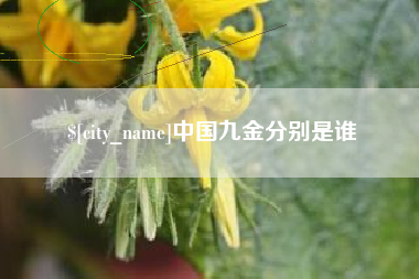 广安中国九金分别是谁