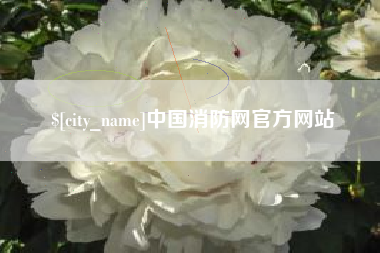 广安中国消防网官方网站