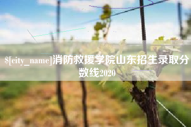 广安消防救援学院山东招生录取分数线2020