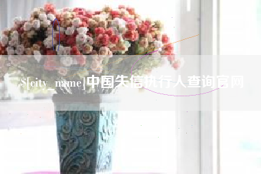 广安中国失信执行人查询官网