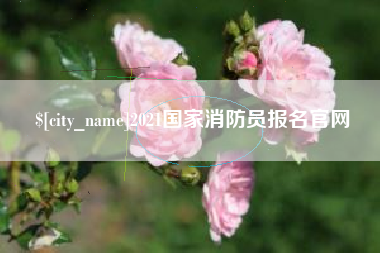 广安2021国家消防员报名官网