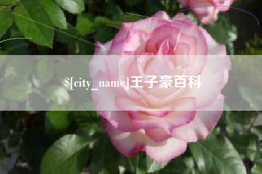广安王子豪百科