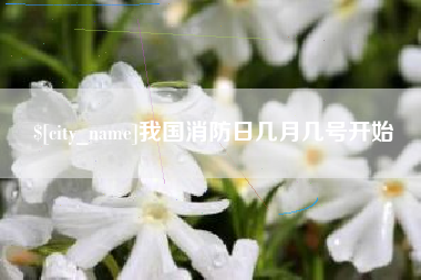 广安我国消防日几月几号开始