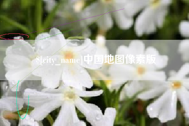 广安中国地图像素版