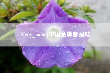 广安中国金牌都是啥