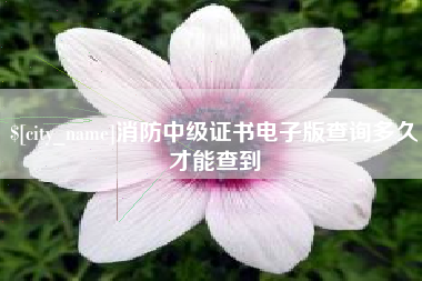 广安消防中级证书电子版查询多久才能查到