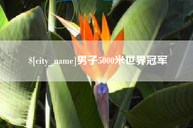 广安男子5000米世界冠军