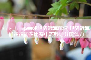 广安5000米世界冠军配速-世界冠军们往往能在比赛中巧妙地分配体力