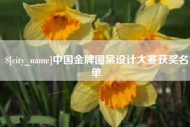 广安中国金牌图案设计大赛获奖名单