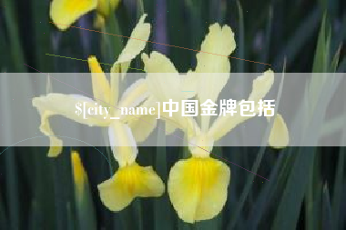 广安中国金牌包括