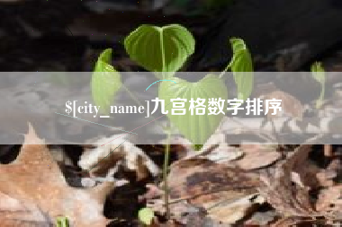 广安九宫格数字排序