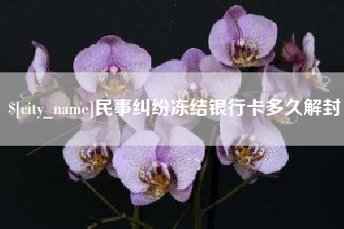 广安民事纠纷冻结银行卡多久解封