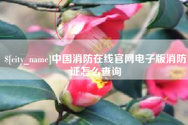 广安中国消防在线官网电子版消防证怎么查询