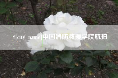 广安中国消防救援学院航拍