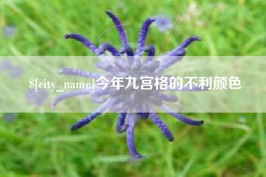广安今年九宫格的不利颜色