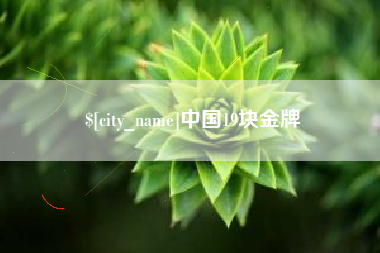 广安中国19块金牌