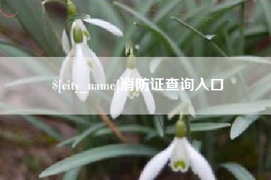 广安消防证查询入口