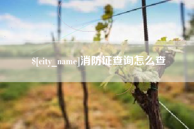 广安消防证查询怎么查