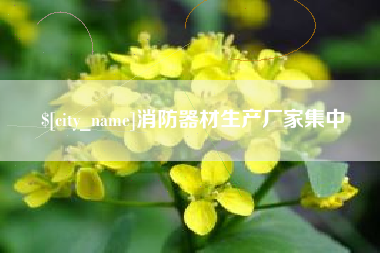 广安消防器材生产厂家集中