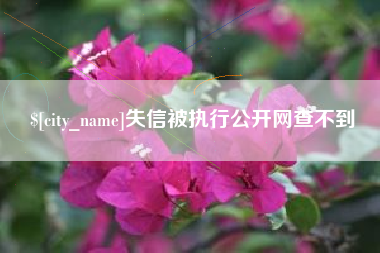 广安失信被执行公开网查不到