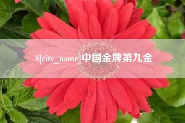 广安中国金牌第九金
