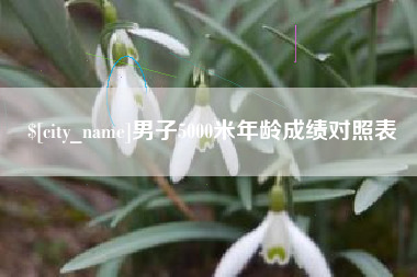广安男子5000米年龄成绩对照表