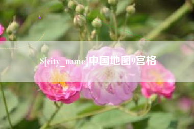 广安中国地图9宫格