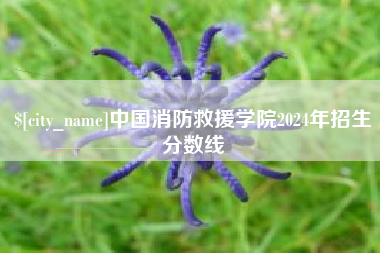 广安中国消防救援学院2024年招生分数线