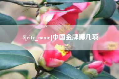 广安中国金牌哪几项