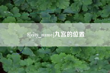 广安九宫的位置
