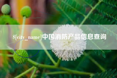 广安中国消防产品信息查询
