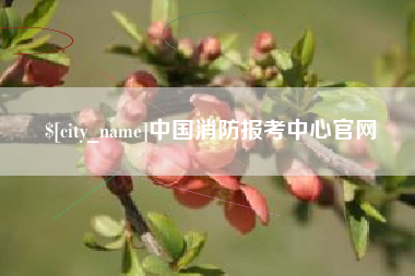 广安中国消防报考中心官网