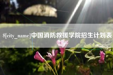 广安中国消防救援学院招生计划表