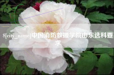 广安中国消防救援学院山东选科要求
