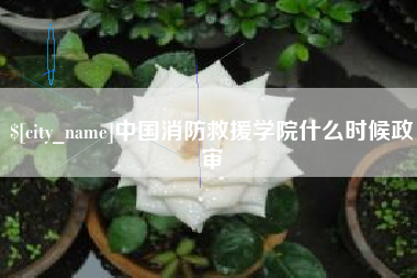 广安中国消防救援学院什么时候政审