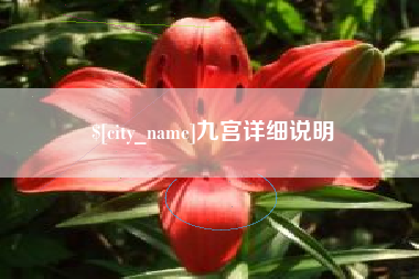 广安九宫详细说明