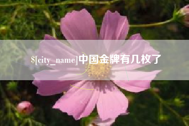广安中国金牌有几枚了