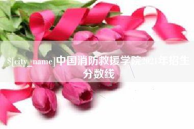 广安中国消防救援学院2021年招生分数线