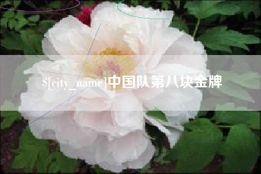 广安中国队第八块金牌
