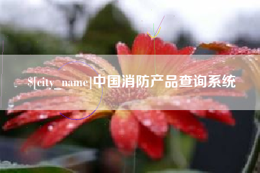 广安中国消防产品查询系统