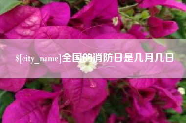 广安全国的消防日是几月几日